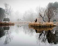 iPhone 17 Pro Max запустил приложения для iPad