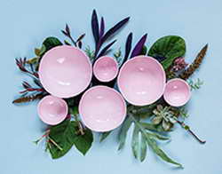 Ozon и Wildberries арендовали крупный склад рядом с Домодедовом