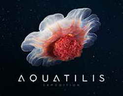 Натали Портман отреагировала на поцелуи бывшего мужа с новой возлюбленной в Париже